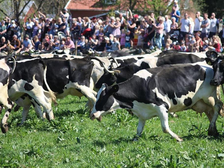 Appartamento Laegenhet Pa Landet Naera Stan Jonsered Esterno foto